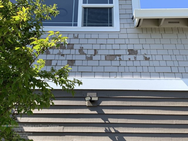 Standard post published to Absolute Painting and Power Washing at October 02, 2022 20:00