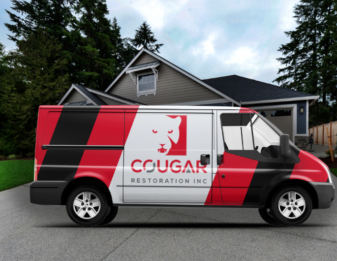 Standard post published to Cougar Restoration at May 31, 2023 19:00