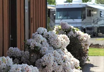 Standard post published to Silver Spur RV Park at June 19, 2023 20:00