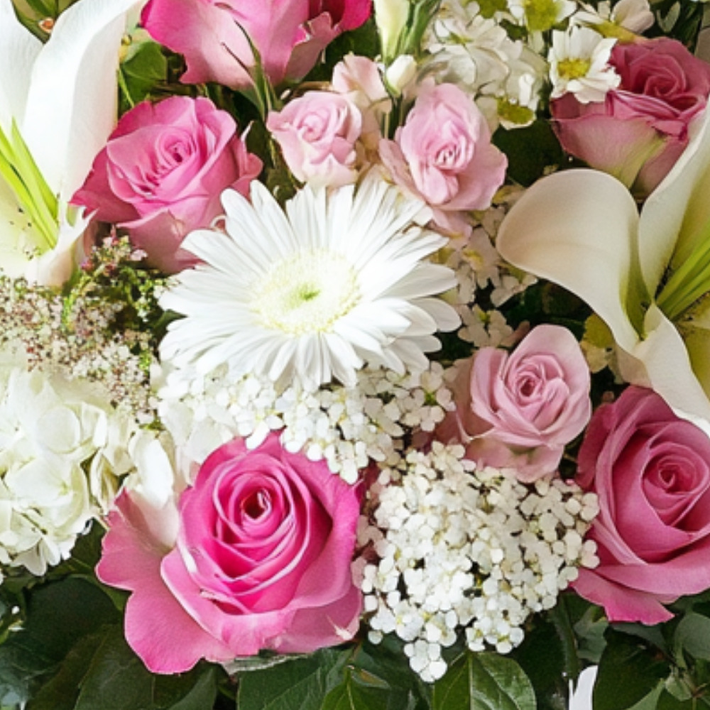 Standard post published to Sonny Alexander Flowers at August 01, 2025 19:00