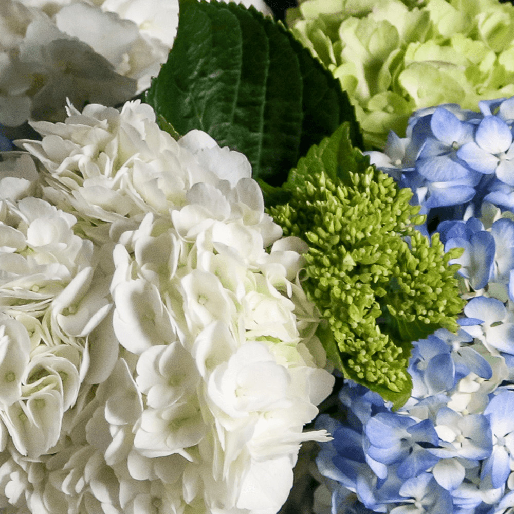 Standard post published to Donna's Garden Florist & Flower Delivery at July 04, 2025 17:00